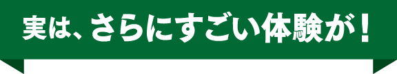 実はさらにすごい体験が！