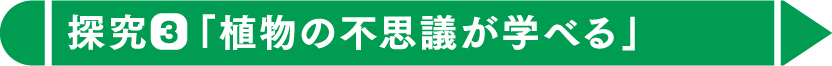 探究3「植物の不思議が学べる」