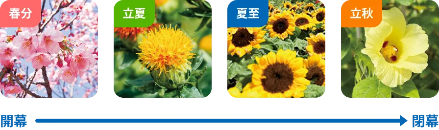 花の開幕から閉幕への移り変わりイメージ