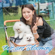 We are Blooming