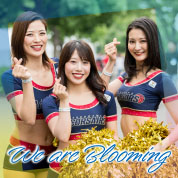 We are Blooming