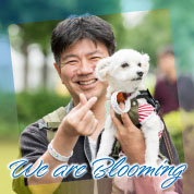 We are Blooming