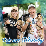 We are Blooming