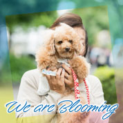 We are Blooming