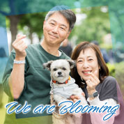 We are Blooming