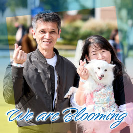 We are Blooming