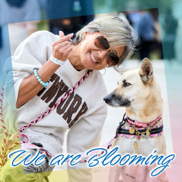 We are Blooming
