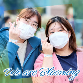 We are Blooming