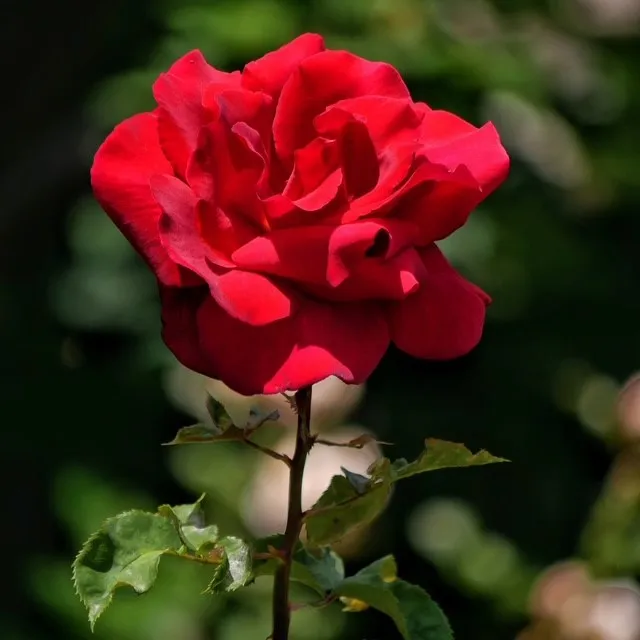userpost144
